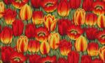Tulpen in rood en geel